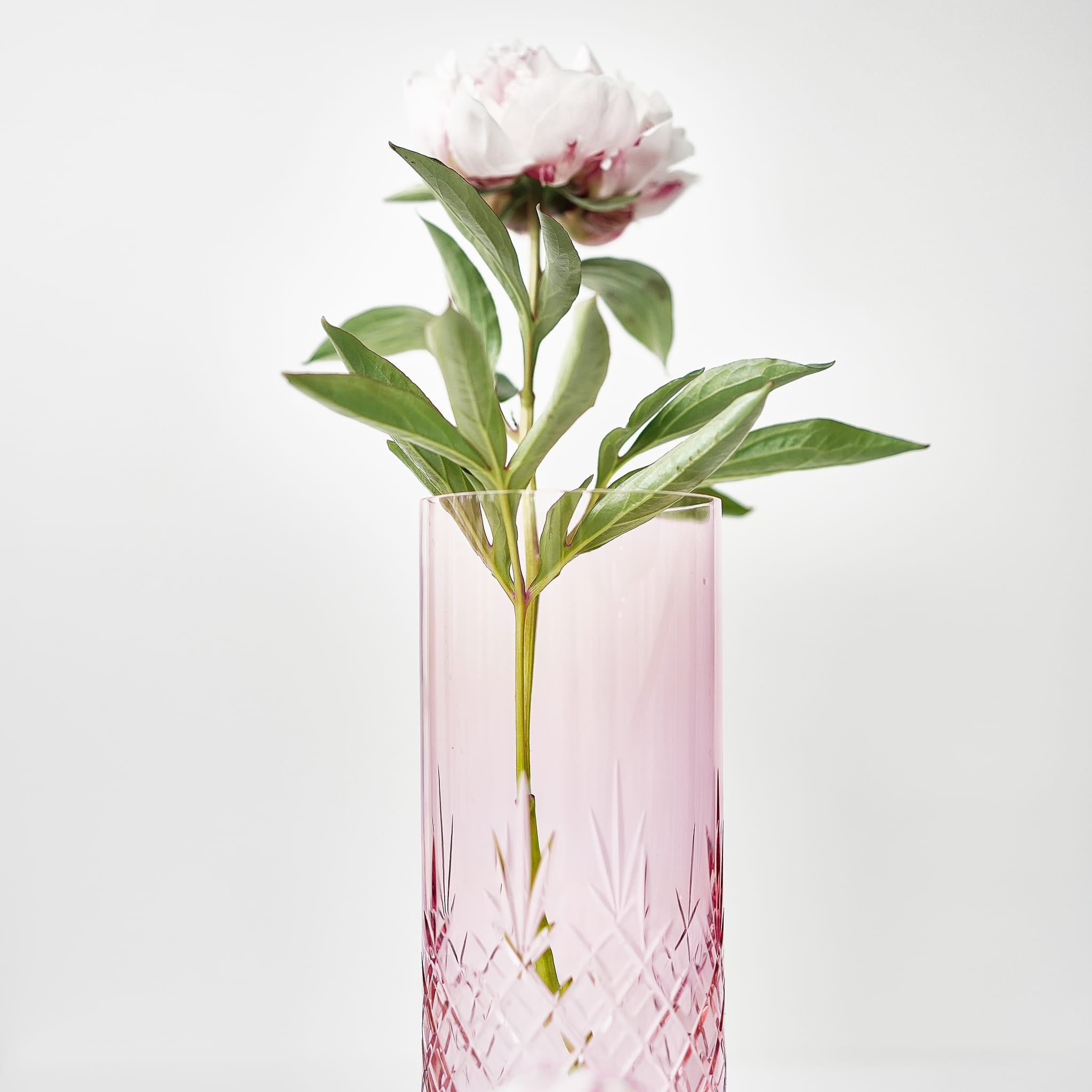 rosa farget vase i krystallglass med diamantmønster og en enkel blomst i skandinavisk design